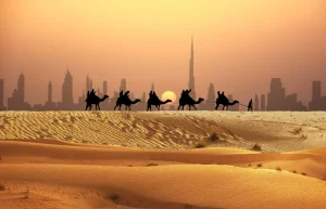 Why Go To Dubai A Modern Marvel in the Desert