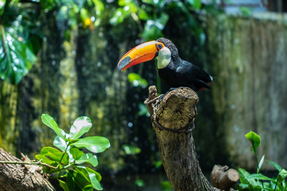 dva830s3wwfgmochaels