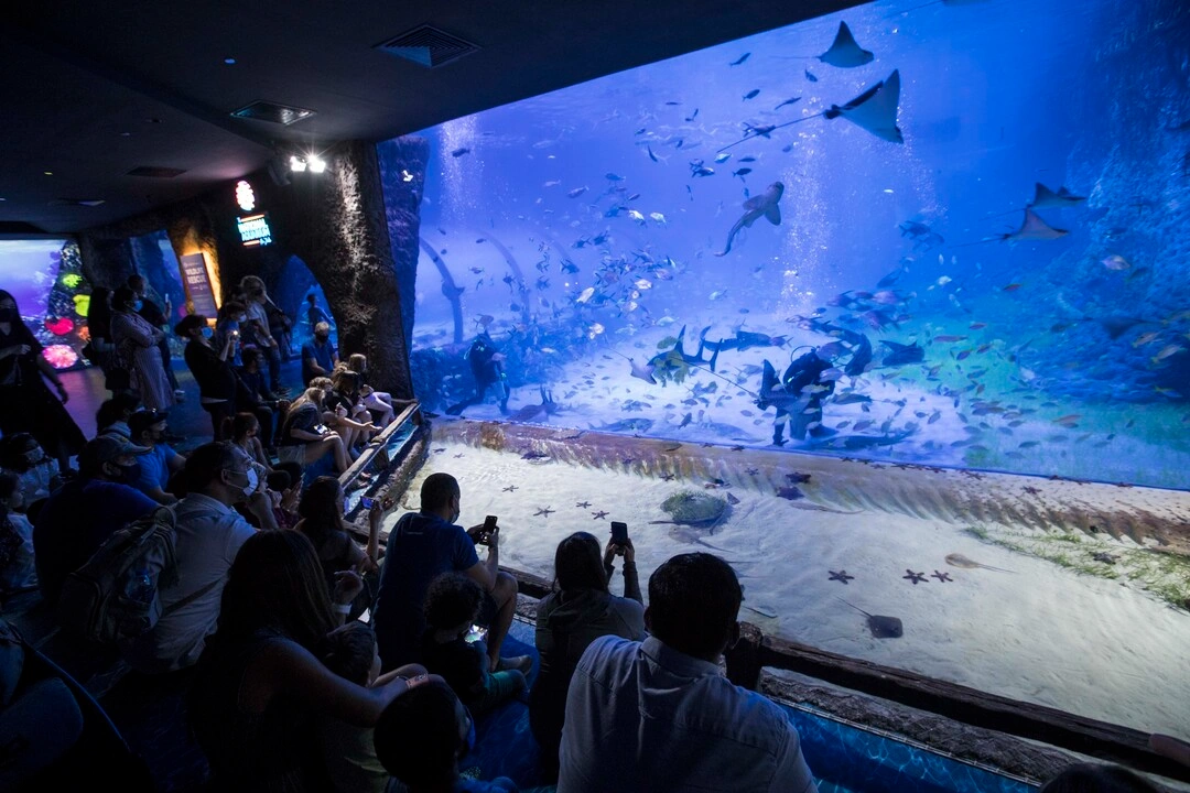 B5HNF3V4SBADNC7ZJHLQKU2WUY