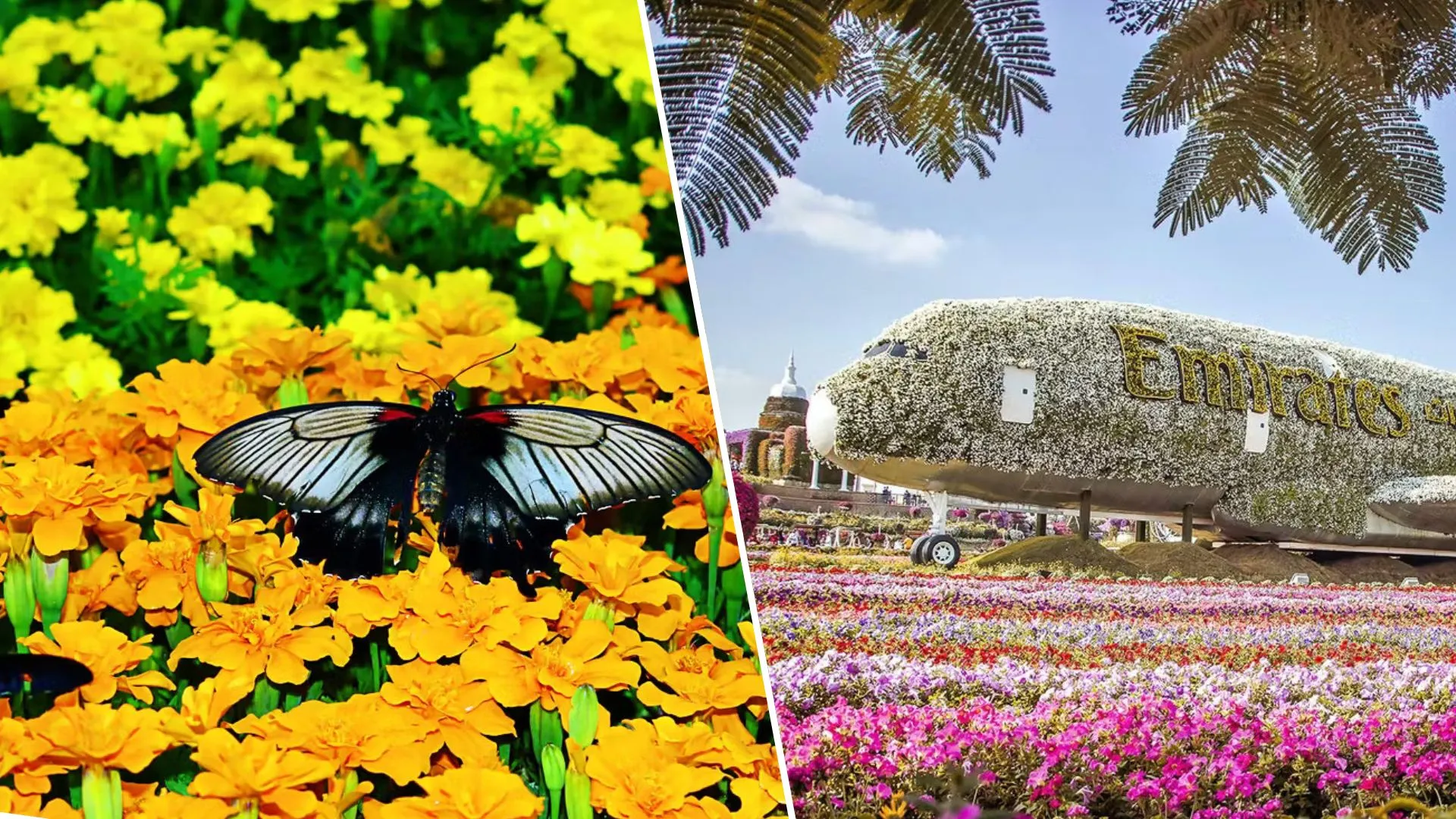 blue gradient travel (Presentation (169)) (1)