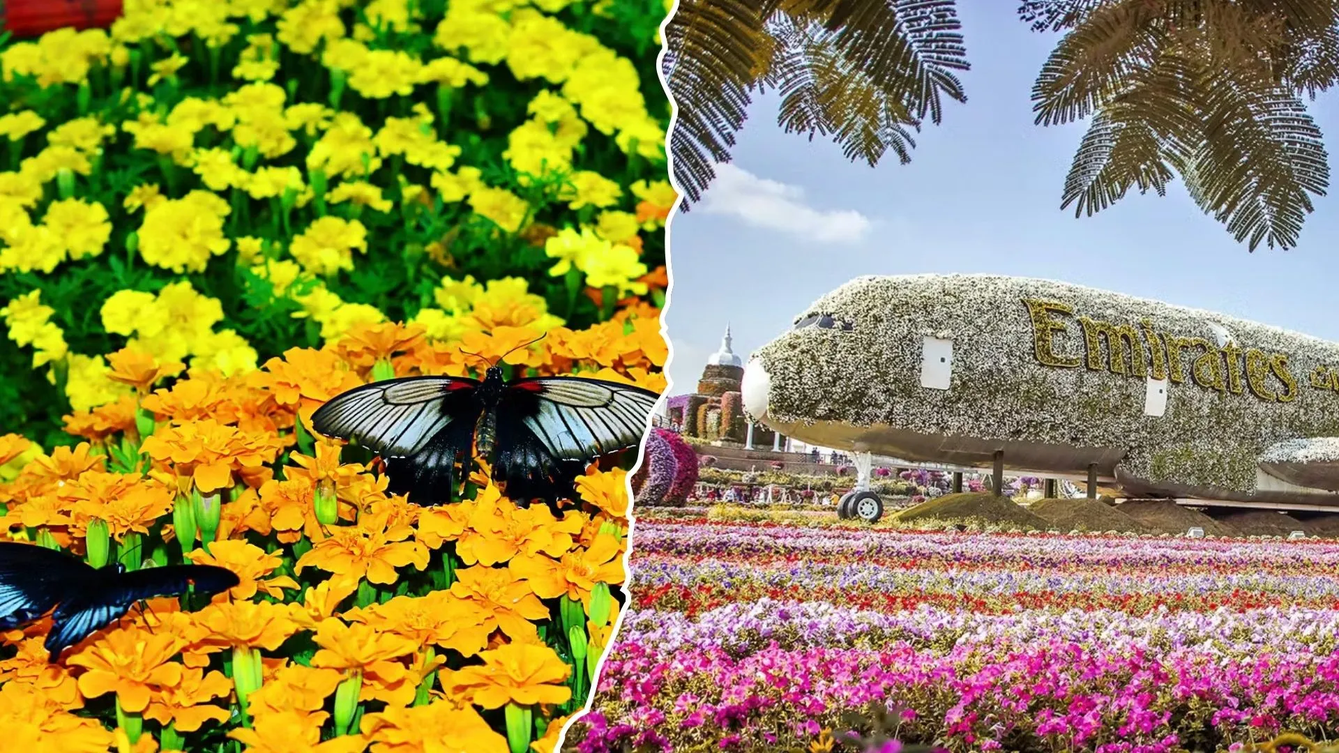 blue gradient travel (Presentation (169))