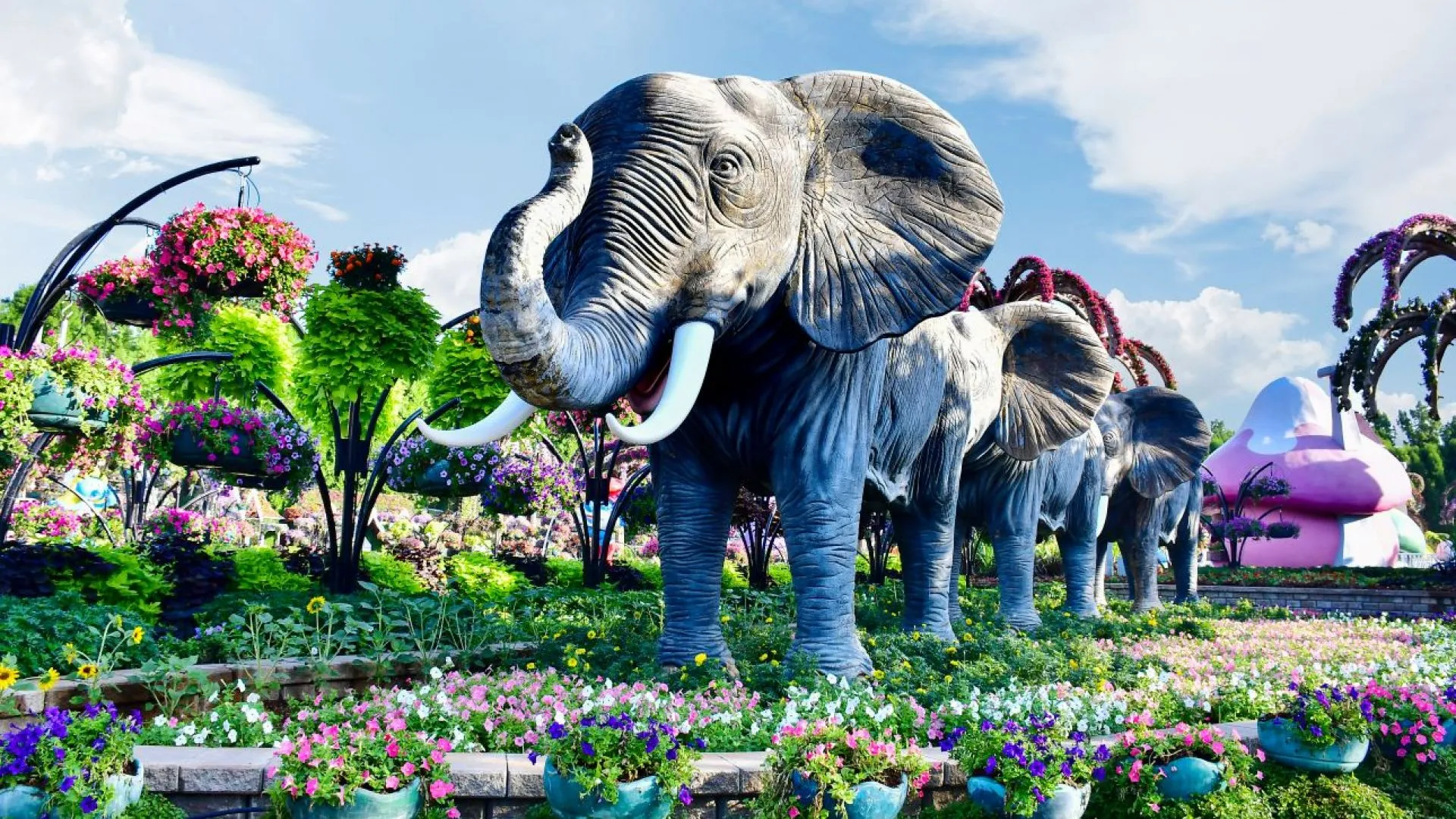 img_1700126265_1700126432__miracelg1