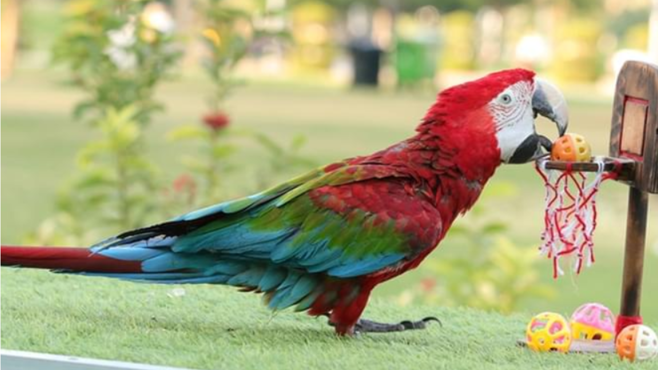 AQW 01 (10) (5) (10) (11)