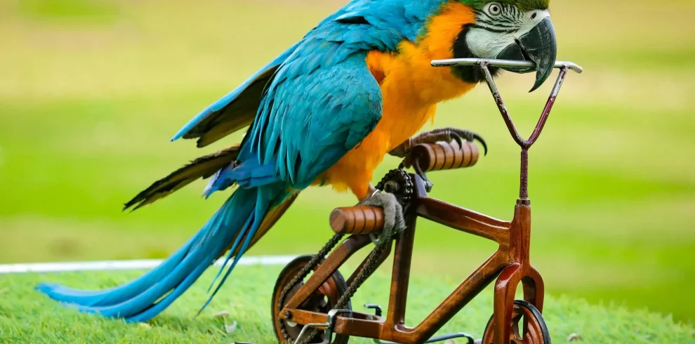 6sjec3yt8bd9c8rk8bkm3lsn0l8w_EventGallery(id29)