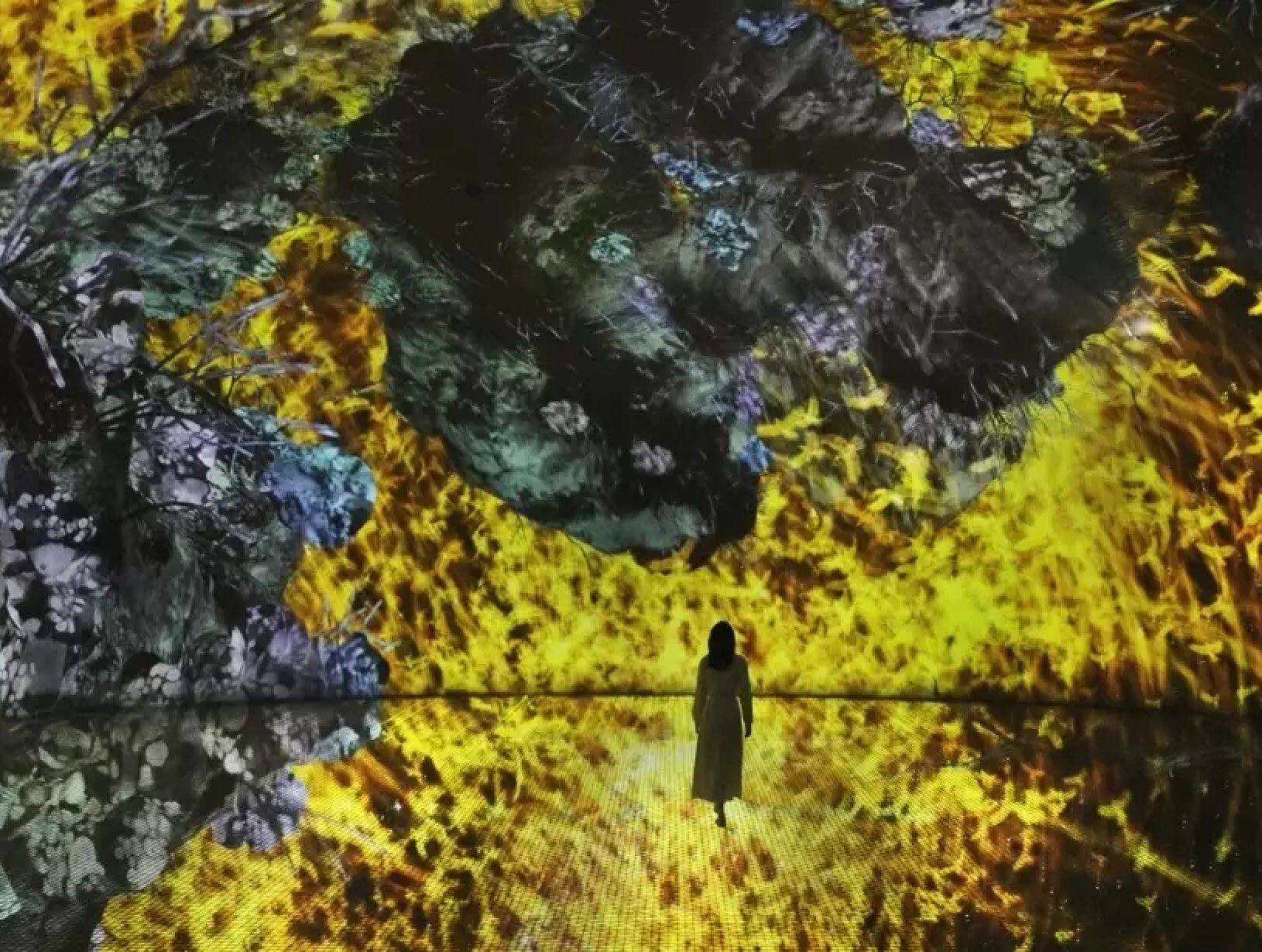 52159_upload682f293d9b2f3_1747921213-0-en1747921225.jpg 1