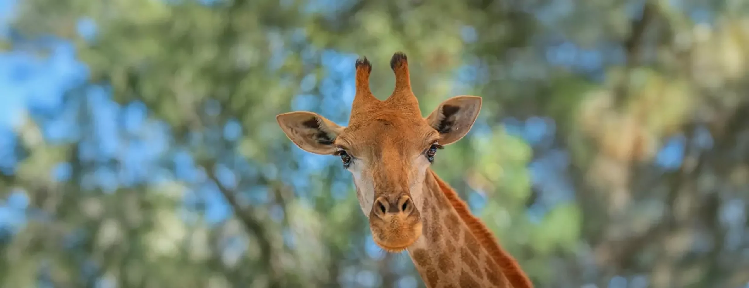 58587_upload68cd602c822f3_1758289964-0-en1758289973.jpg 1